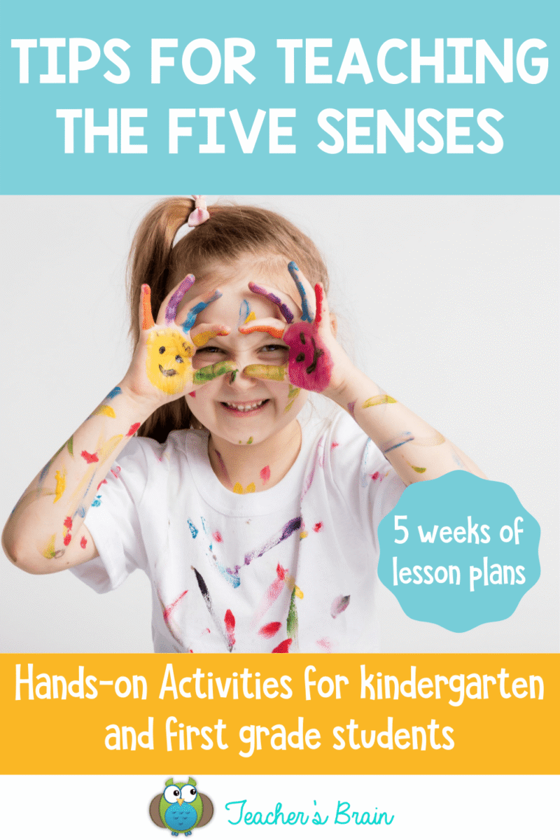 Engaging Students In The Five Senses - Teacher's Brain