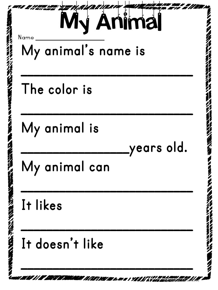 Wacky Animal Writing