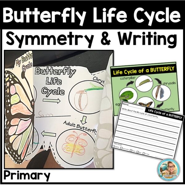 butterfly life cycle