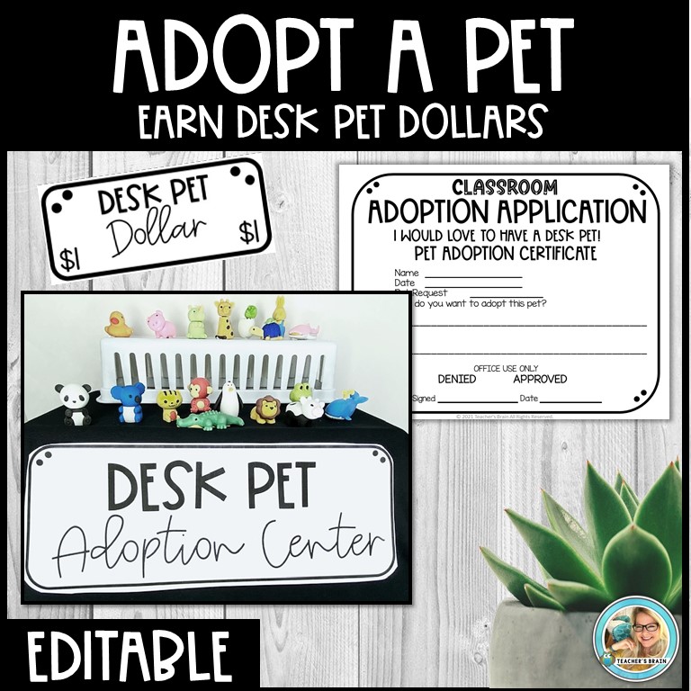 Desk Pet Adoption