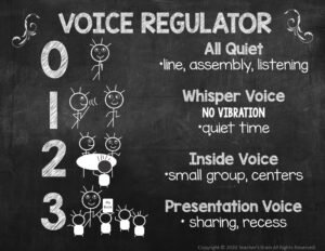 voice regulator