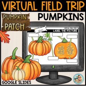Pumpkin Patch Field Trip