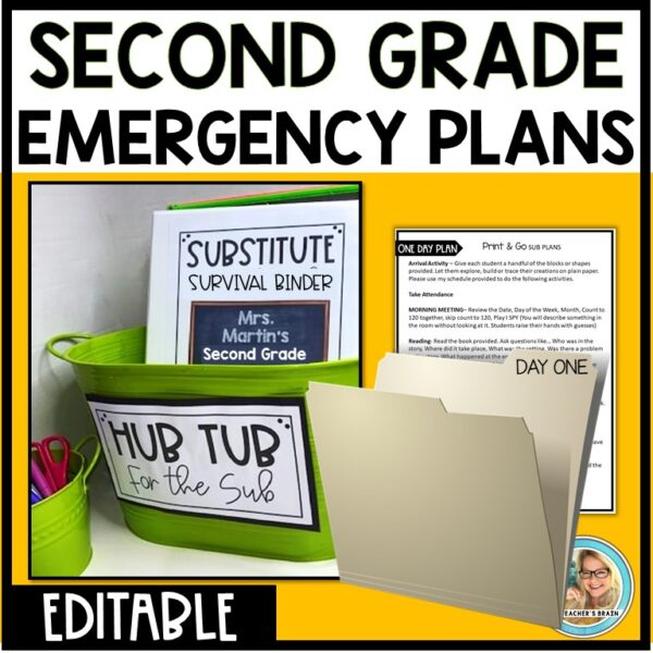 Emergency Sub Plans Second GRADE (TEN DAYS) Editable