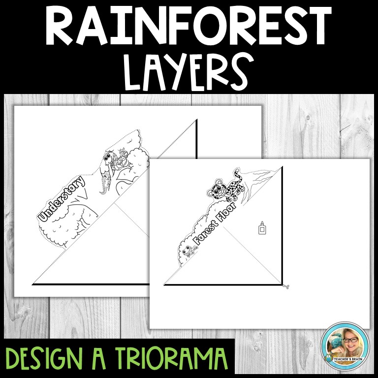 Rainforest Layers Triorama | Writing Activity - Image 2