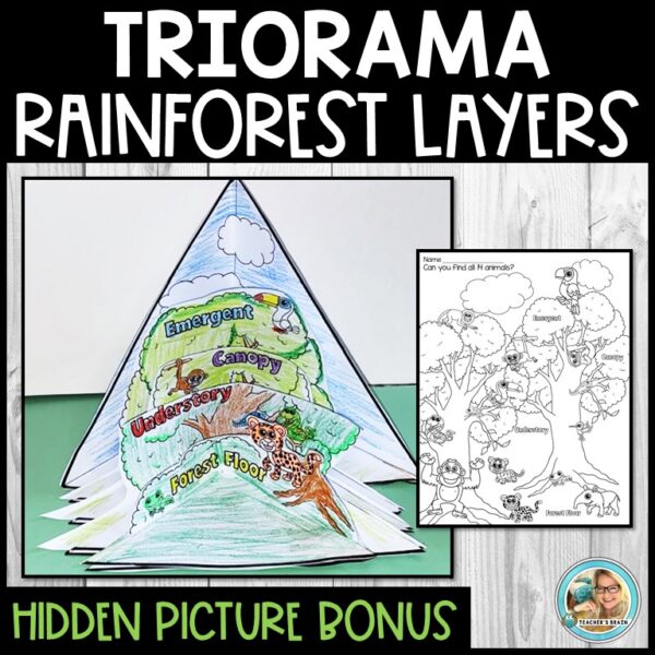 Rainforest Triorama