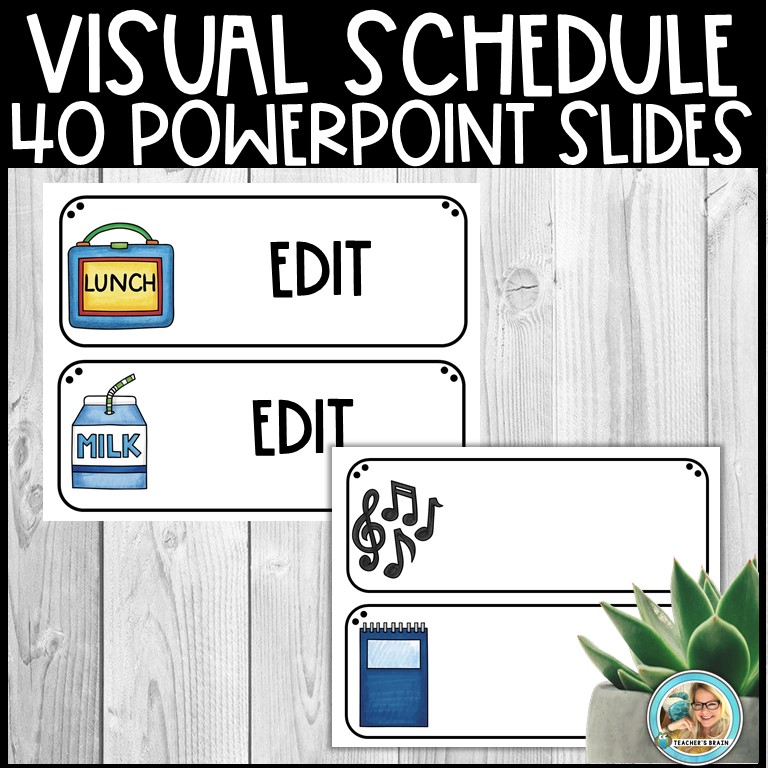 Classroom Daily Visual Schedule EDITABLE Cards - Image 4