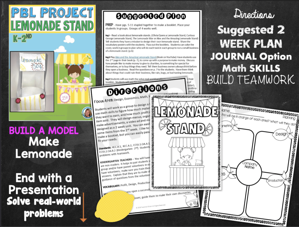 project based learning activity idea
