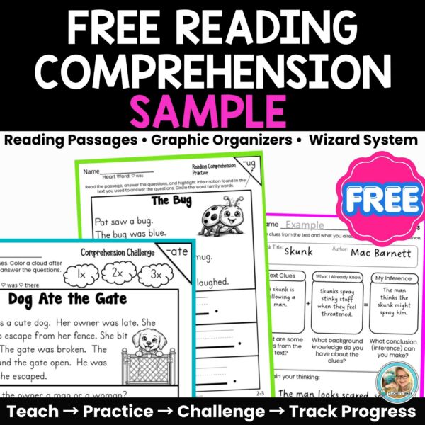 Reading Passages and Questions for Comprehension FREEBIE