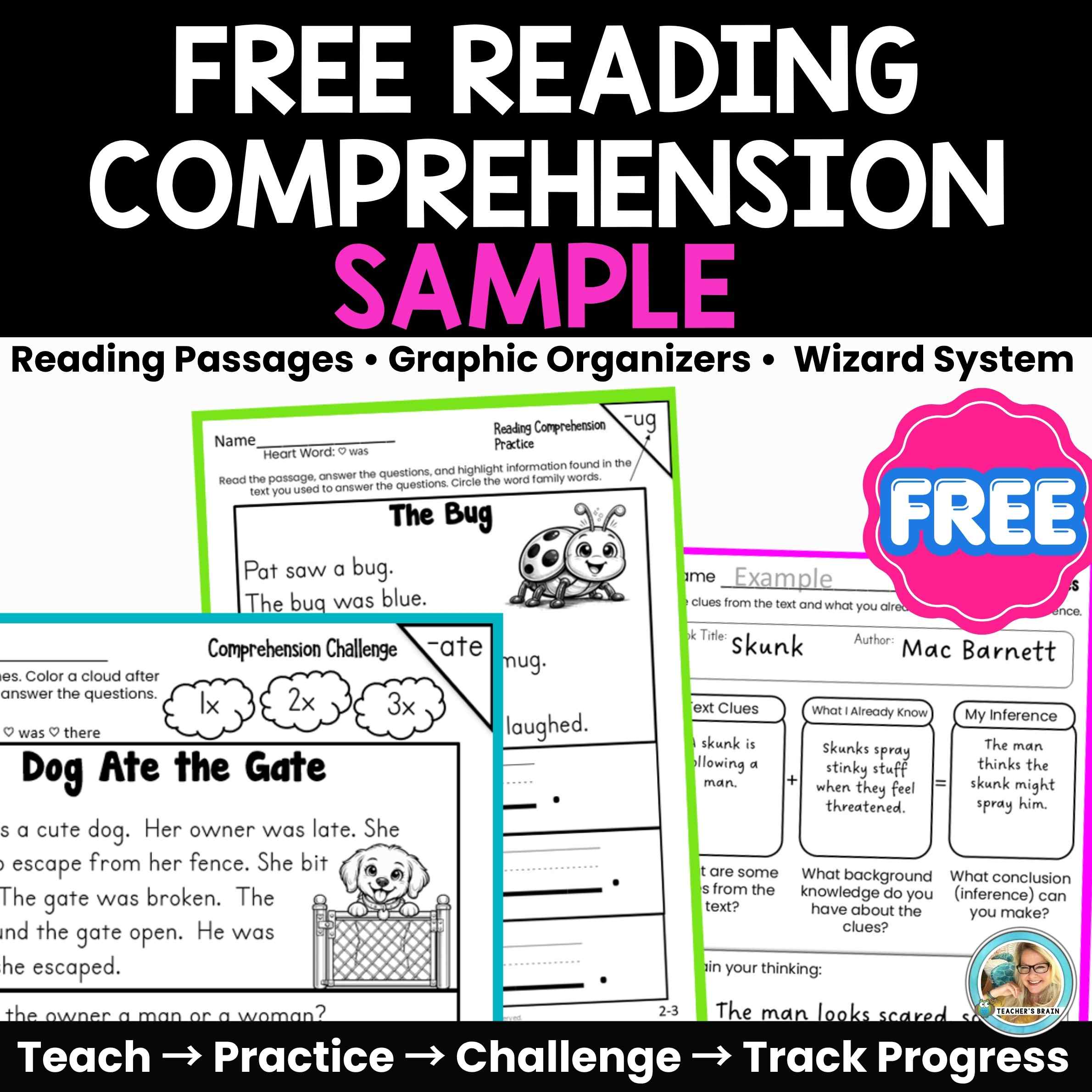 Reading Passages and Questions for Comprehension FREEBIE