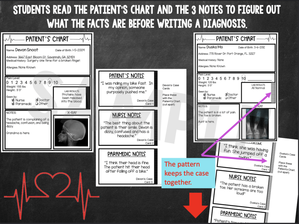 fact and opinion activities