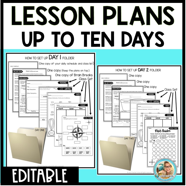 Emergency SUB Plans 3rd GRADE | Editable | TEN DAYS of PLANS - Image 2