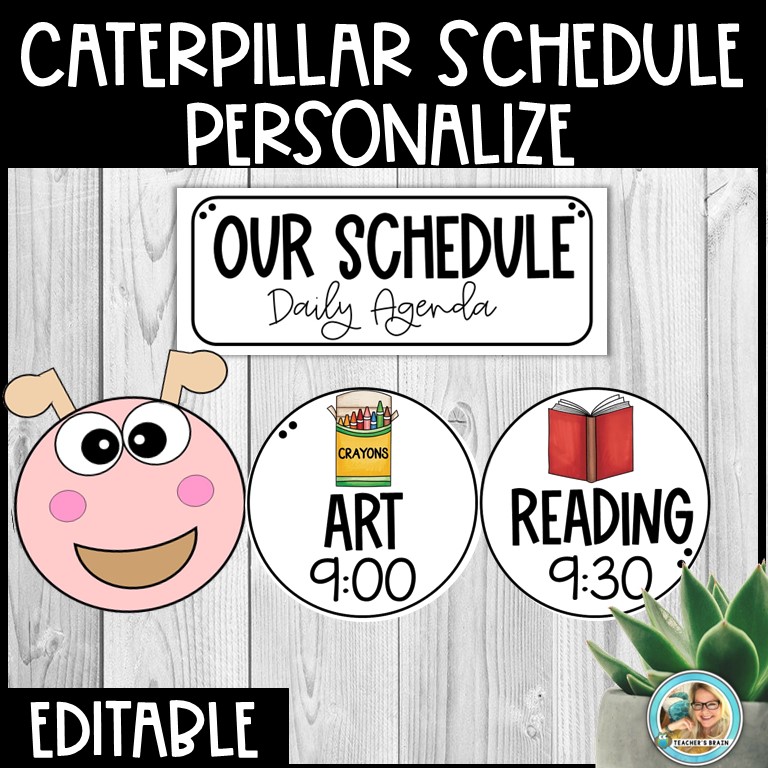 Classroom Daily Visual Schedule EDITABLE Cards | CATERPILLAR - Image 2