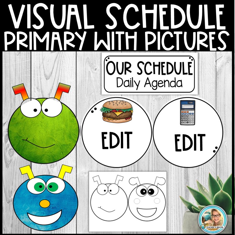 Classroom Daily Visual Schedule EDITABLE Cards | CATERPILLAR - Image 3
