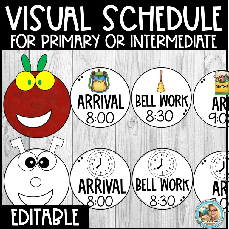 Classroom Daily Visual Schedule EDITABLE Cards | CATERPILLAR