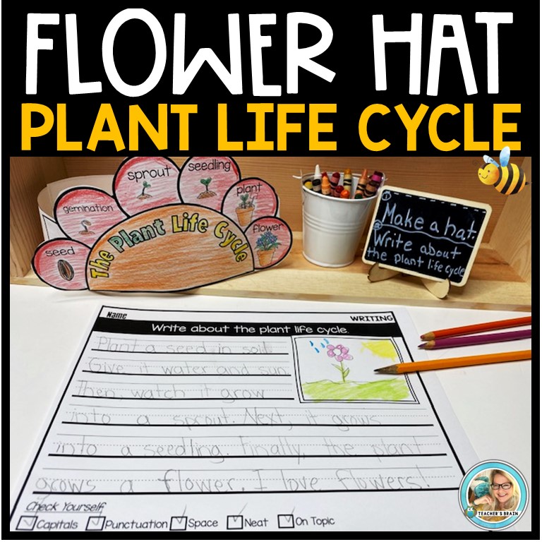 Life Cycle of a Plant Craft | FLOWER HAT | Writing Prompts