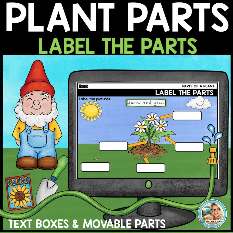 Plants Unit | Life Cycle | Parts Google Slides & Print Option - Image 2