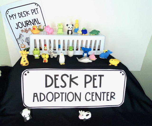 elementary classroom routines desk pet resource
