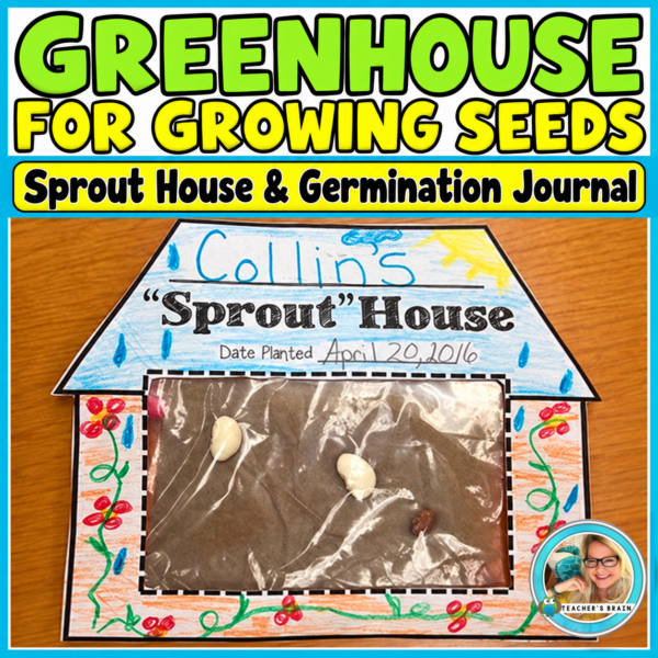 Seed Germination Activity | Sprout House Craft & Plant Journal