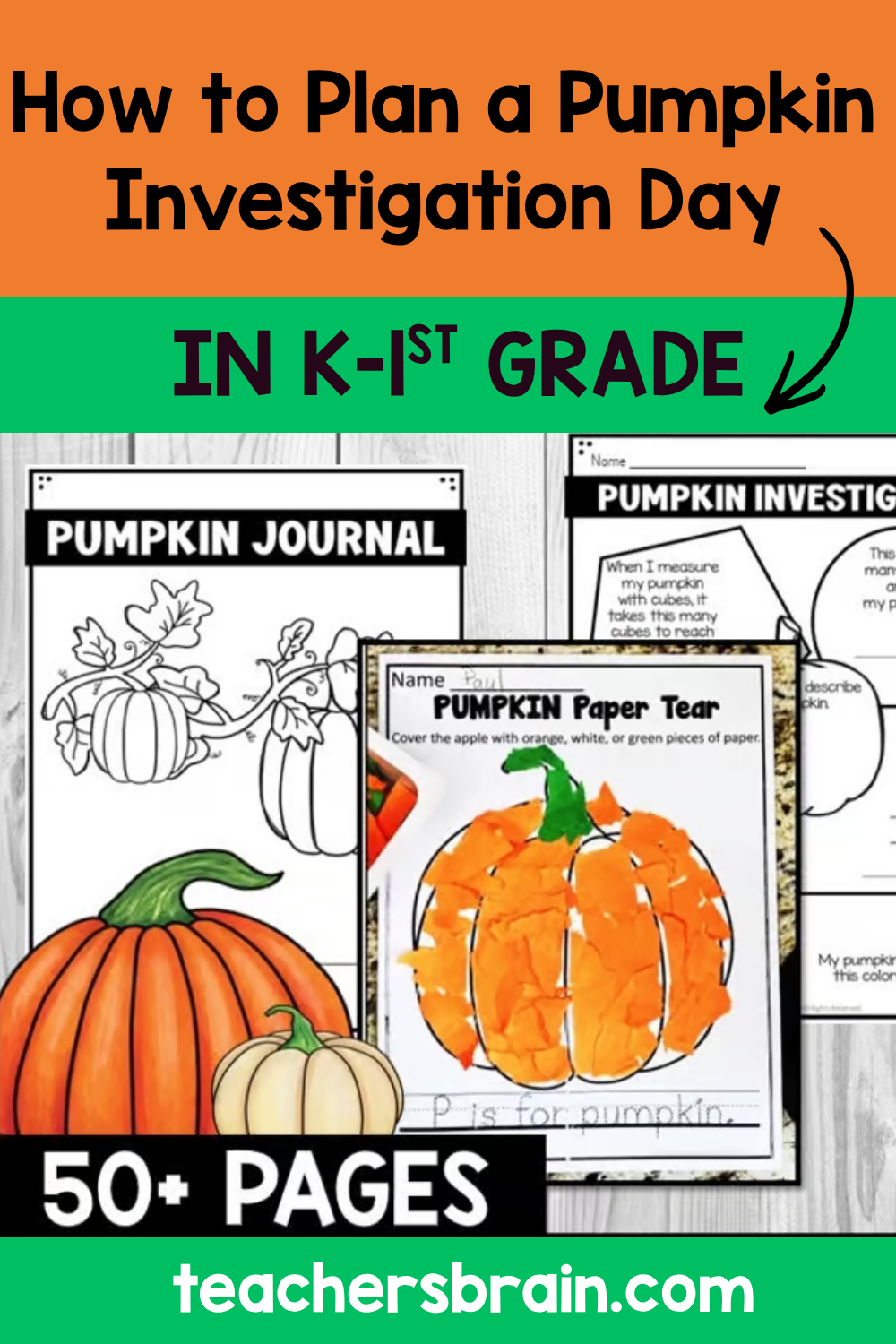 pumpkin investigation activities